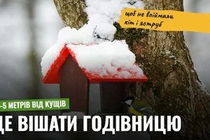 image Як повісити пташину годівницю, щоб вона не стала пасткою для пернатих