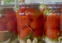 Помідори на зиму з цибулею та базиліком: простий ароматний маринад Помідори на зиму з цибулею та базиліком: простий ароматний маринад