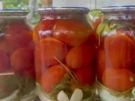 Помідори на зиму з цибулею та базиліком: простий ароматний маринад
