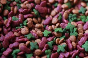 image Навіщо виробники фарбують сухі корми для котів і собак