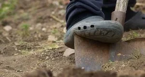 Як розкислити ґрунт восени: норми вапна і безпечне внесення