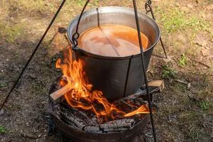 image Що їдять роми: традиційні страви та суворі кухонні правила
