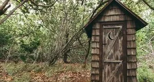 Які рослини посадити біля дачного туалету, щоб зменшити вологу й замаскувати будівлю Які рослини посадити біля дачного туалету, щоб зменшити вологу й замаскувати будівлю