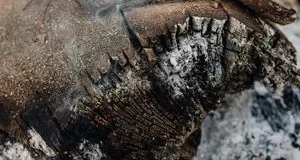 Зола восени: коли варто вносити в ґрунт, а коли краще відмовитися Зола восени: коли варто вносити в ґрунт, а коли краще відмовитися